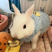 Newborn Cat Kitten Velvet Clothing Winter Warm Little Pet Sweater Small Animals Rabbit Puppy Pullovers Clothes Pet Supplies