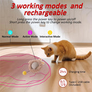 Interactive Cat Toys Ball Cover Set Fast Rolling in Pouch Hide and Seek Kitten Toy Motion Activated Interactive Cat Toy Indoor