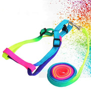 Nylon Rainbow Pet Dog Collar Harness Leash Soft Walking Harness Lead Colorful and Durable Traction Rope 120cm
