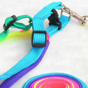 Nylon Rainbow Pet Dog Collar Harness Leash Soft Walking Harness Lead Colorful and Durable Traction Rope 120cm
