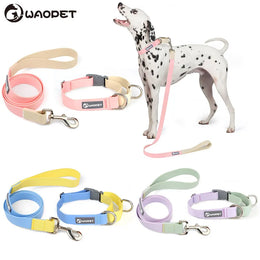 Waterproof Collar Leash Designed For Dog Training Easy Cntrol Outdoor Medium And Large Dog Breeds Multi-color Adjustable Collar