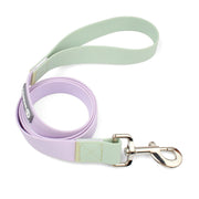 Waterproof Collar Leash Designed For Dog Training Easy Cntrol Outdoor Medium And Large Dog Breeds Multi-color Adjustable Collar