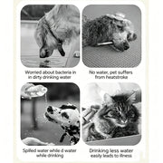 Dog Cat Drinking Bowl Outdoor Feeding Water Portable Drinking Cup for Pets Foldable Water Dispenser Interchangeable Bottle