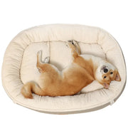 Faux Suede Pet Bed, Plush Dog Bed, Soft Large Padded Pet Mat, Cat Bed Mat, Suitable For Small And Medium-Sized Dogs And Cats