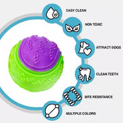 NEW Scooby-Doo Durable Squeaky set of 8 Dog Balls for teeth Cleaning Interactive UK