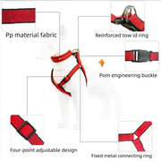 Dog Collar with Lining Leash Vest Style Harnesses Sets Small Medium Large Dogs Walking Leash Dog Neck Collar Pet Products