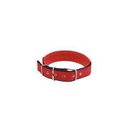 Dog Collar with Lining Leash Vest Style Harnesses Sets Small Medium Large Dogs Walking Leash Dog Neck Collar Pet Products