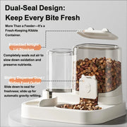 Automatic Feeder Dog Cat Food Bowl With Water Fountain Large Capacity Pet Food Storage Dispenser Container Puppy Pet Accessories