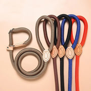 New Dog Leash Slip Rope Lead Leash Heavy Duty Braided Rope Adjustable Loop Collar Training Leashes for Small Medium Dogs