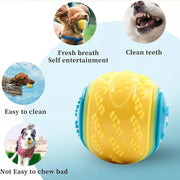 NEW Scooby-Doo Durable Squeaky set of 8 Dog Balls for teeth Cleaning Interactive UK
