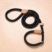 New Dog Leash Slip Rope Lead Leash Heavy Duty Braided Rope Adjustable Loop Collar Training Leashes for Small Medium Dogs