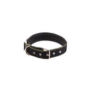 Dog Collar with Lining Leash Vest Style Harnesses Sets Small Medium Large Dogs Walking Leash Dog Neck Collar Pet Products
