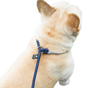 New Dog Leash Slip Rope Lead Leash Heavy Duty Braided Rope Adjustable Loop Collar Training Leashes for Small Medium Dogs