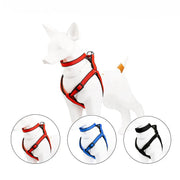 Dog Collar with Lining Leash Vest Style Harnesses Sets Small Medium Large Dogs Walking Leash Dog Neck Collar Pet Products