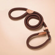 New Dog Leash Slip Rope Lead Leash Heavy Duty Braided Rope Adjustable Loop Collar Training Leashes for Small Medium Dogs