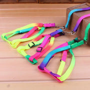 Nylon Rainbow Pet Dog Collar Harness Leash Soft Walking Harness Lead Colorful and Durable Traction Rope 120cm