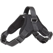 Dog Harness And Leash Set No Pull Adjustable Comfortable with Easy Control Handle Outdoor Running Walking Hand Free Lead Leash