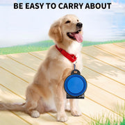 1-piece 2-in-1 foldable dual bowl feeding bowl portable outdoor travel dog and cat drinking bowl